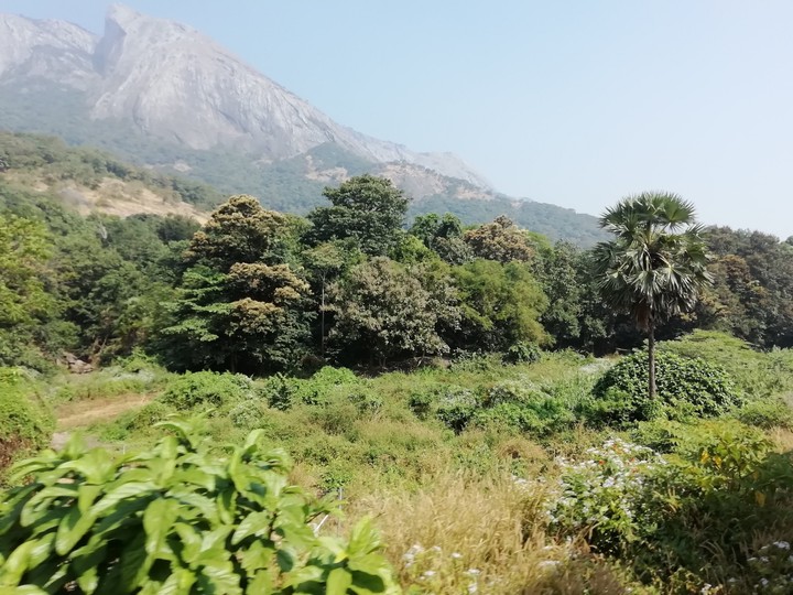 A journey through the Western Ghats...