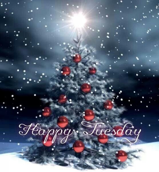 FOR EVERYONE