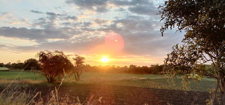 Evening beauty