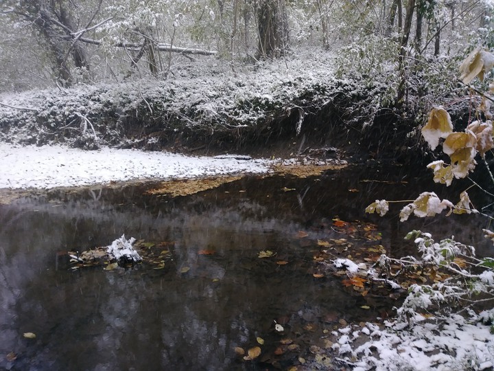Winter Wonderland 1