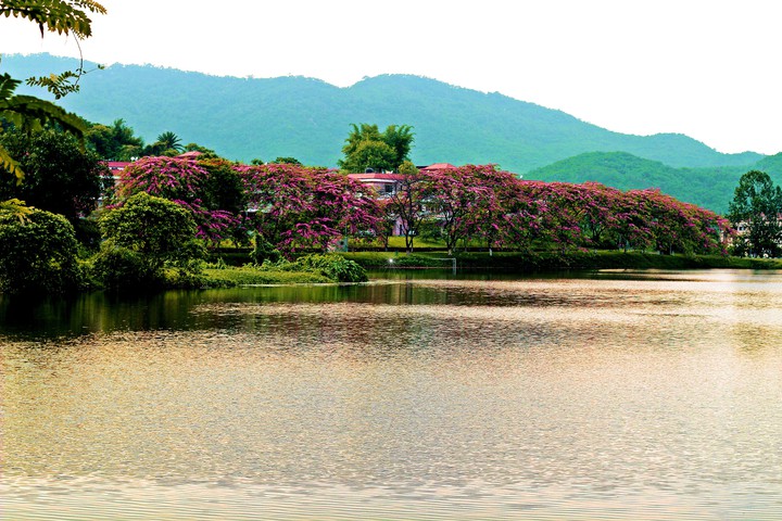 IIT GUWAHATI