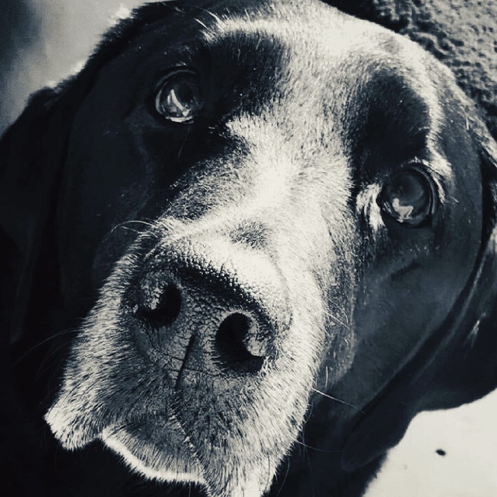 My Sweet Mags