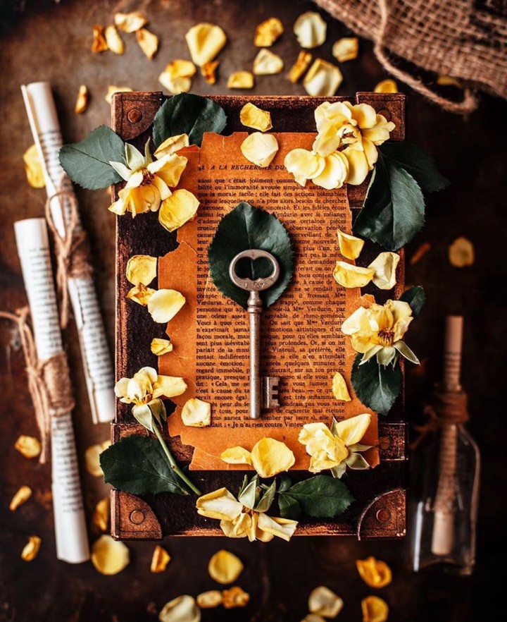 ✴⚂✨
