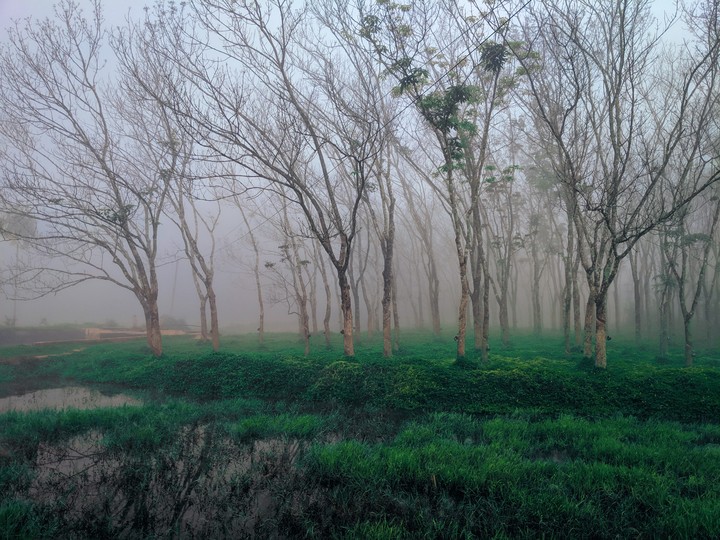Nature
