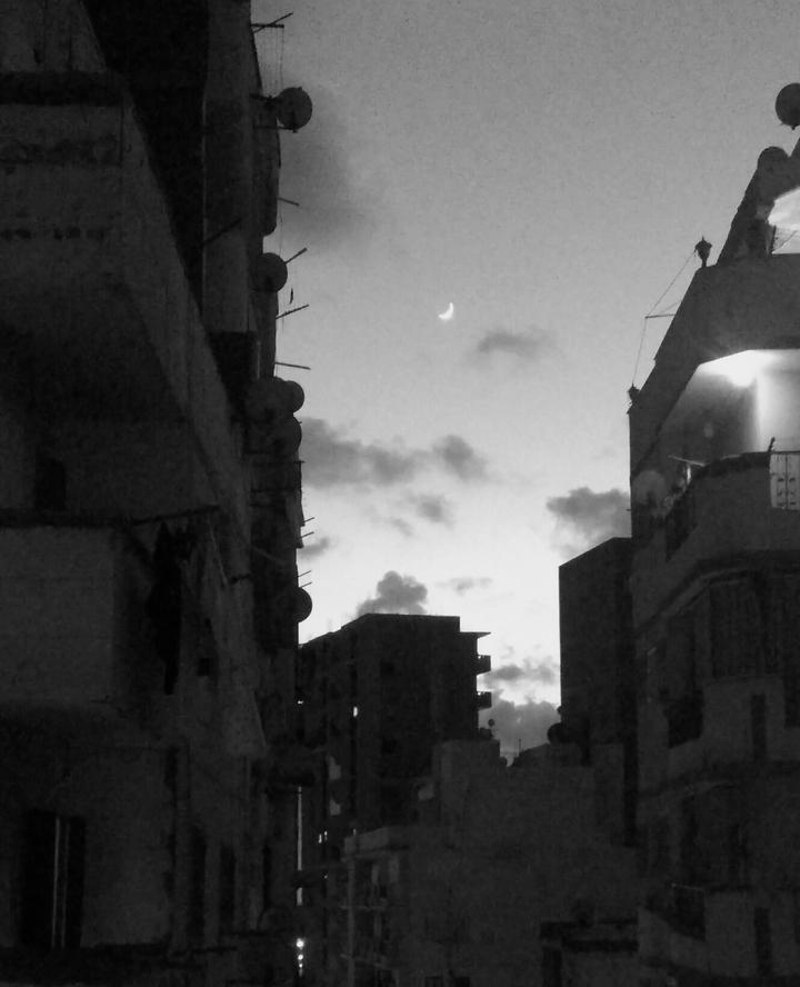 my little moon