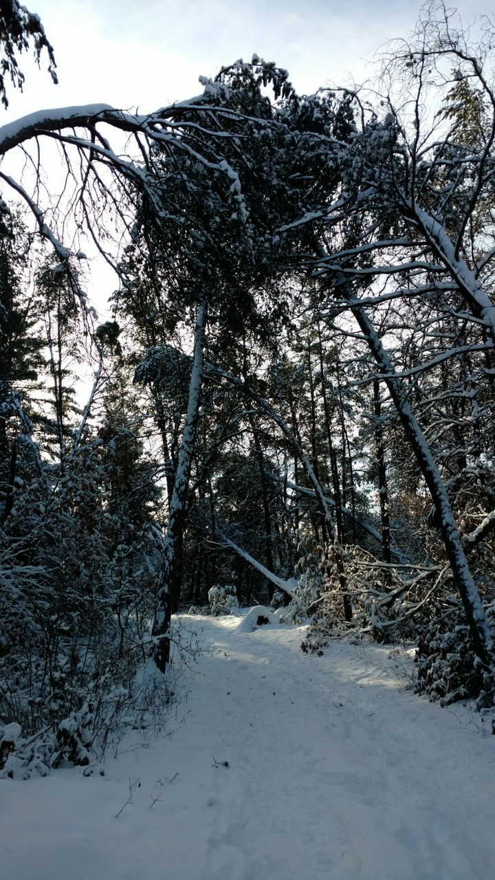 Lake Wazee Park