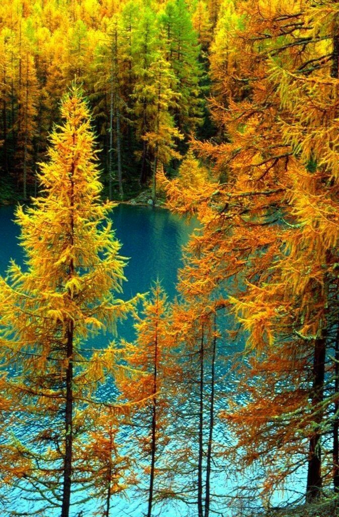 nature