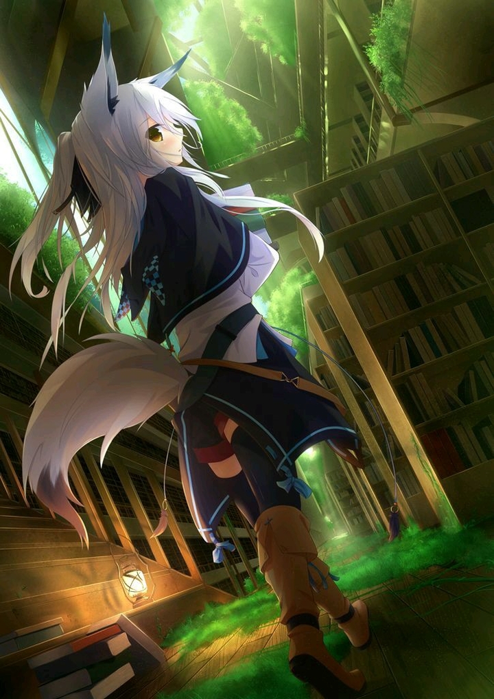 Anime