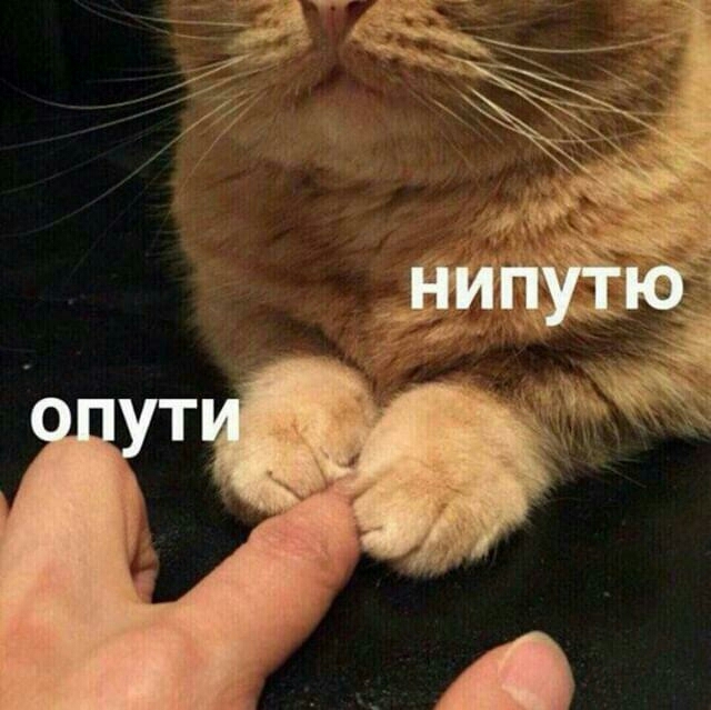 хуй