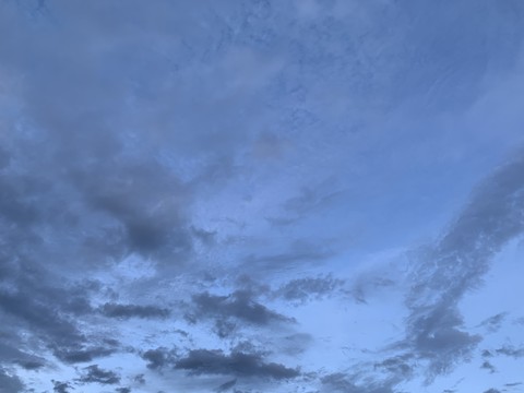 gray and blue