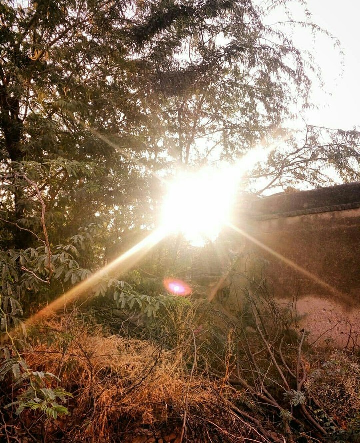 sunrise