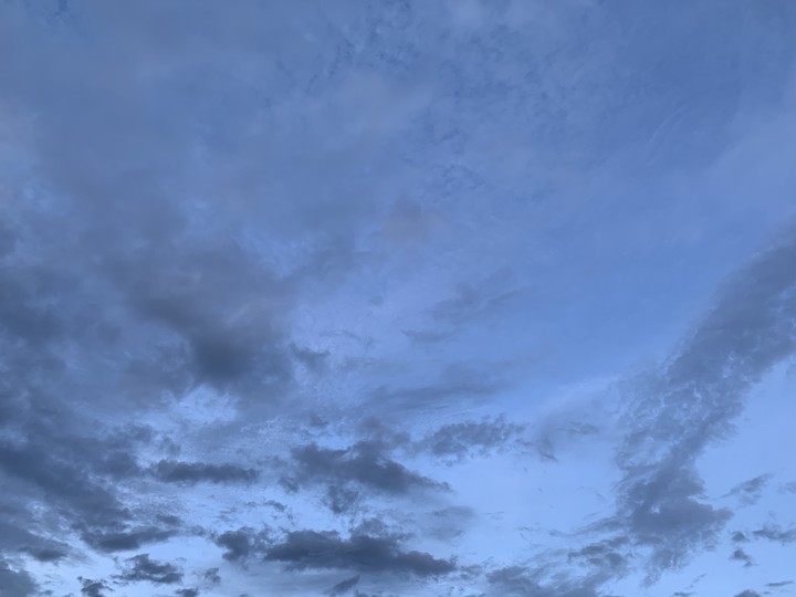 gray and blue