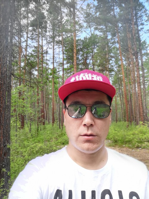 Лес Берегу Озера Байкала