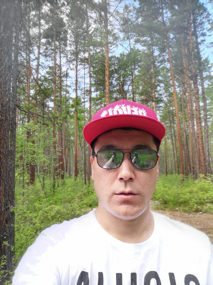 Лес Берегу Озера Байкала