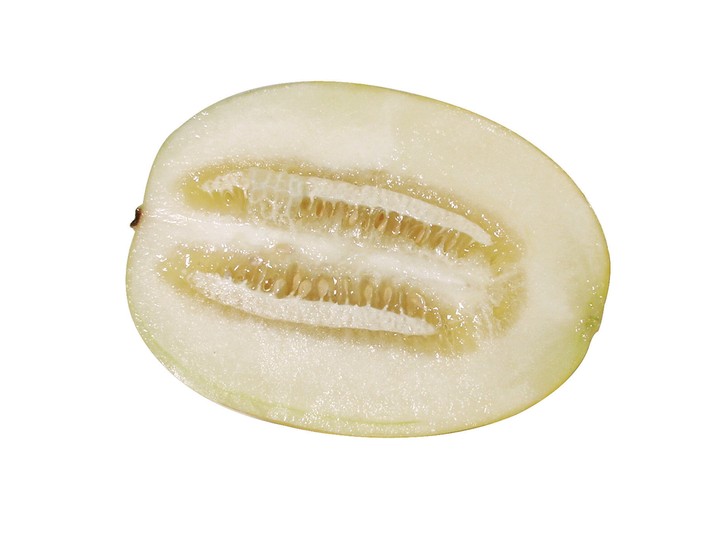 음식이미지