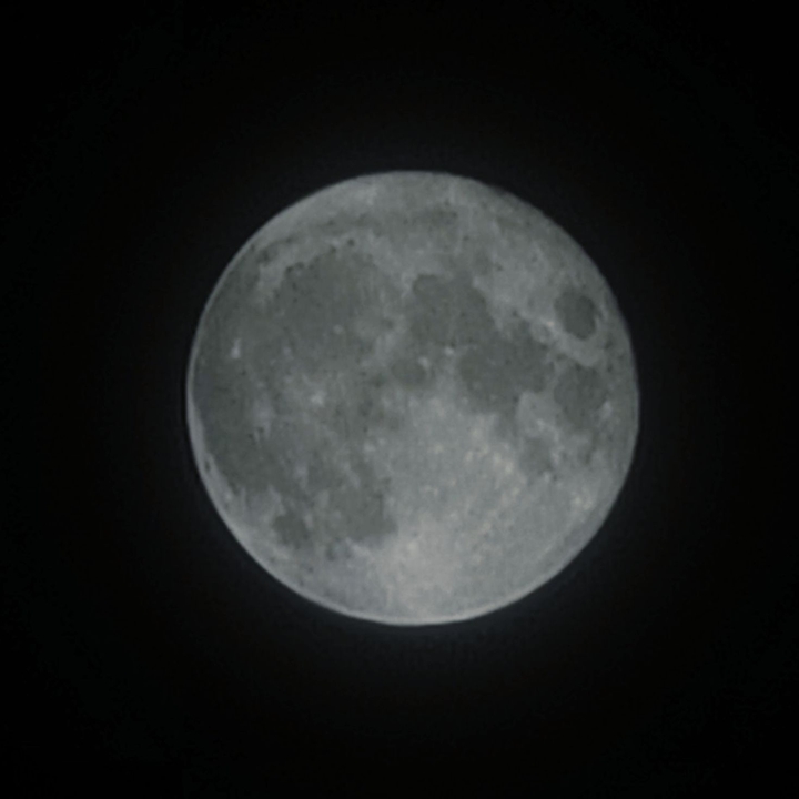 I took the moon by myself!