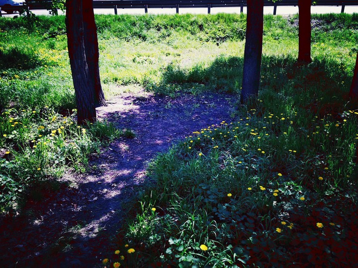 Прогулка