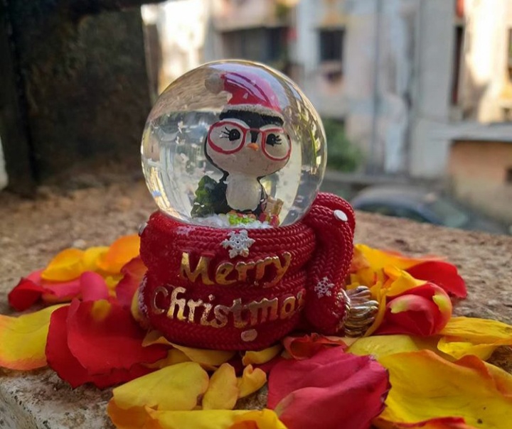 Merry Christmas ☃️❄☃️