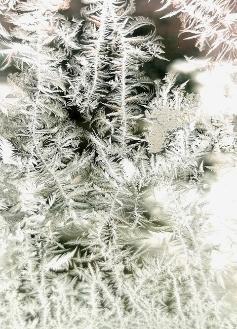 Le givre de l'hiver