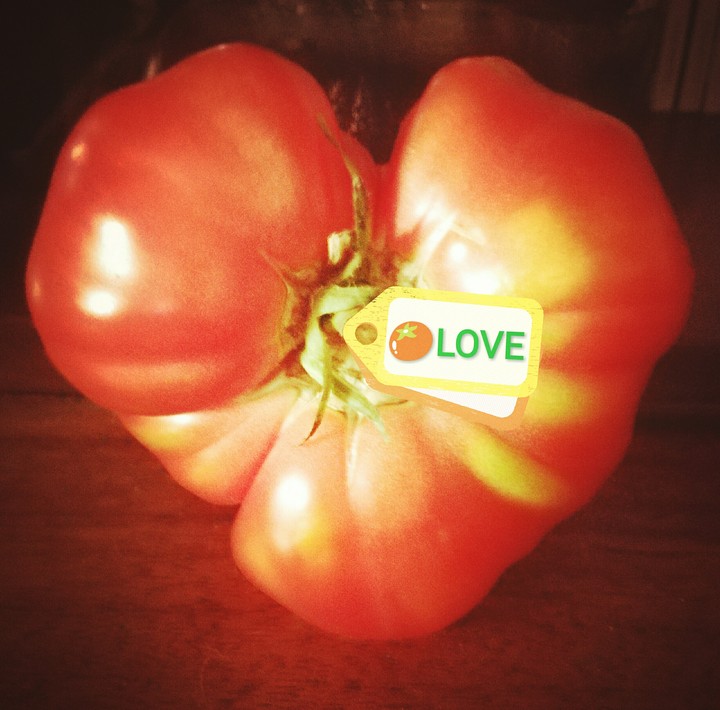 heart