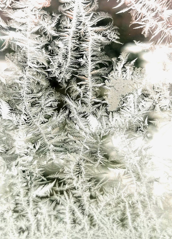 Le givre de l'hiver