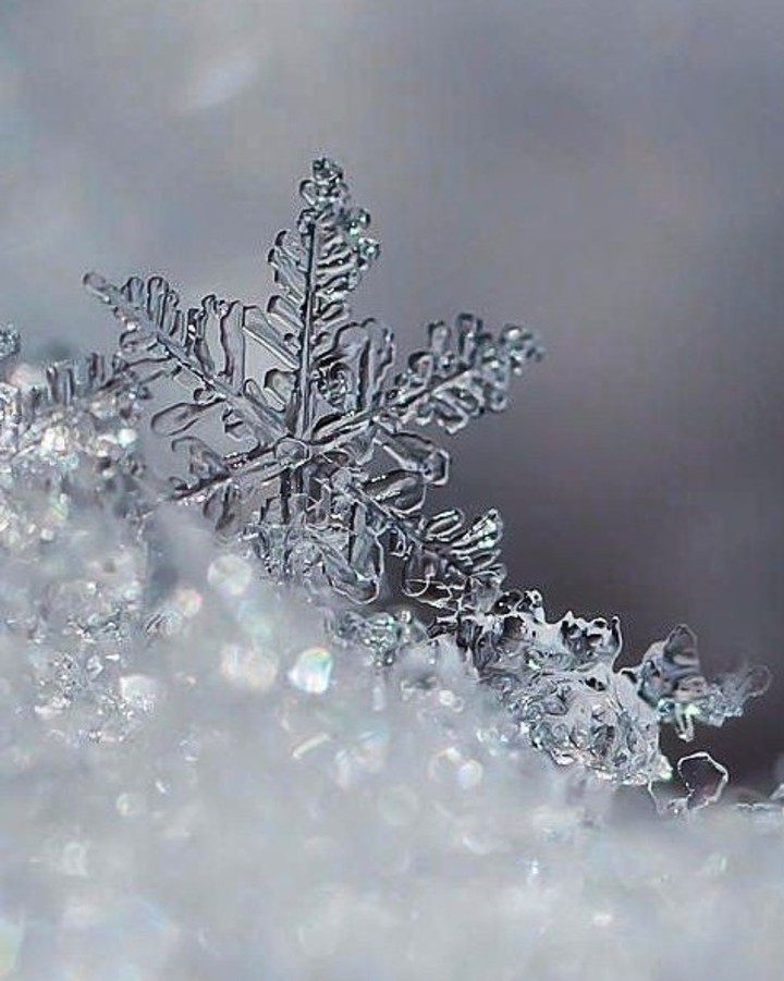 Ice