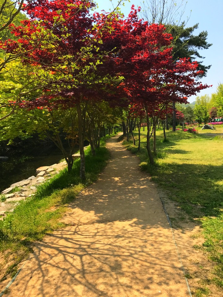 산책로