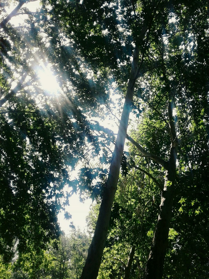 Natural