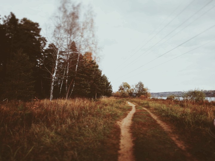Тропа