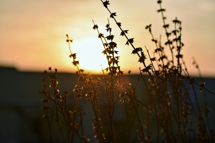 sunrise 2