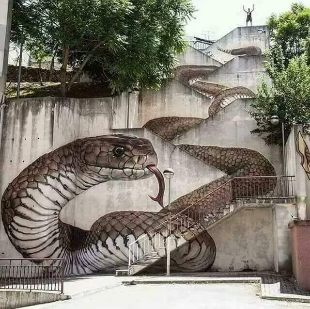 reptile