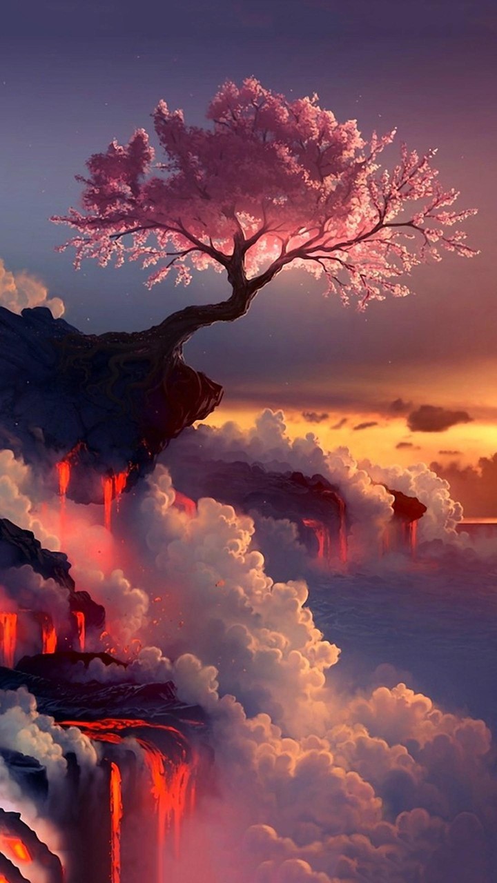 Colors of Sunshine