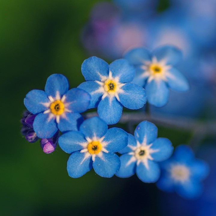 ~♧•°♧•°♡°•♧°•♧~