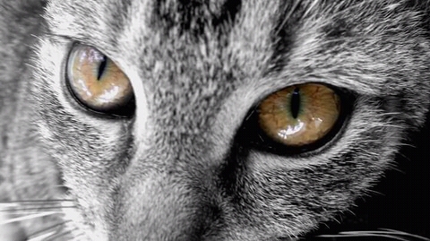 Lost in her eyes
