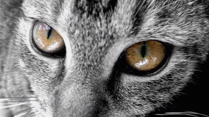 Lost in her eyes