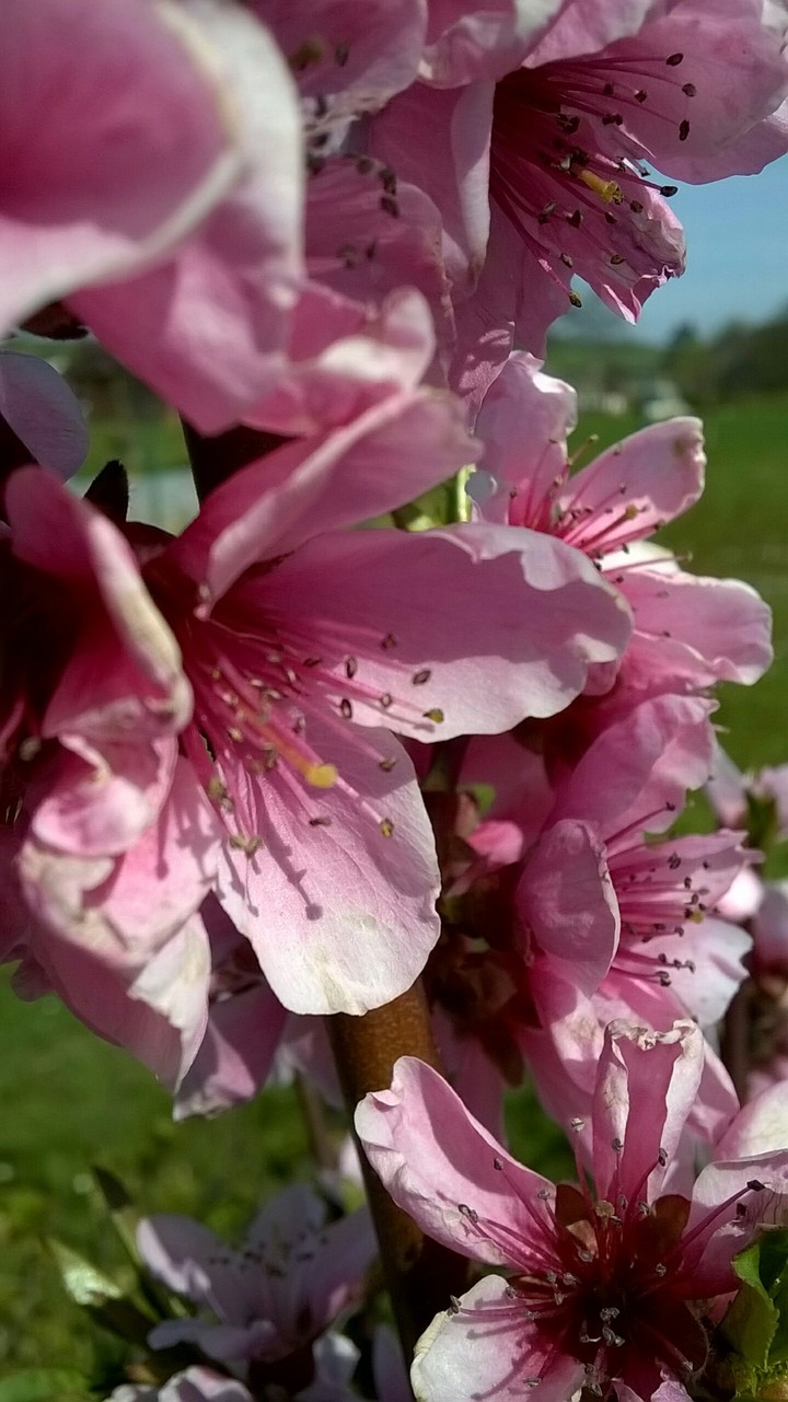 spring...