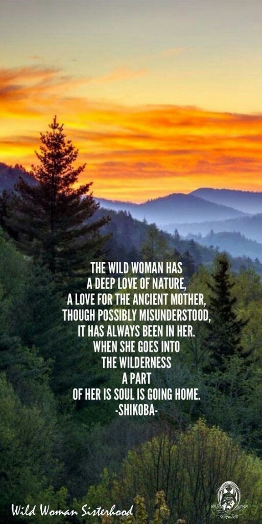 wanderer