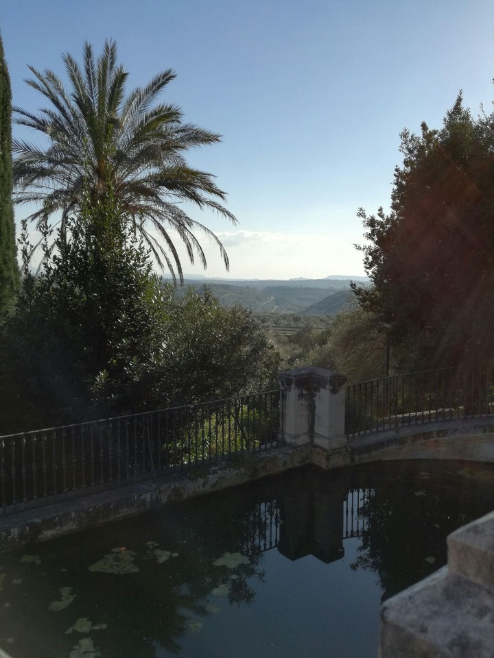 Acqua e verde