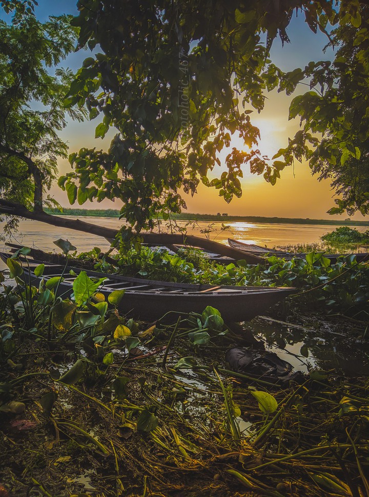 nature