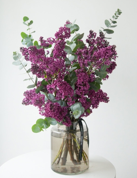 بدون عنوان