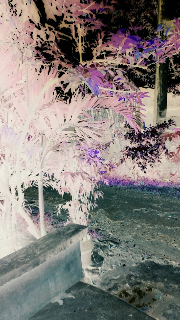 Illusion