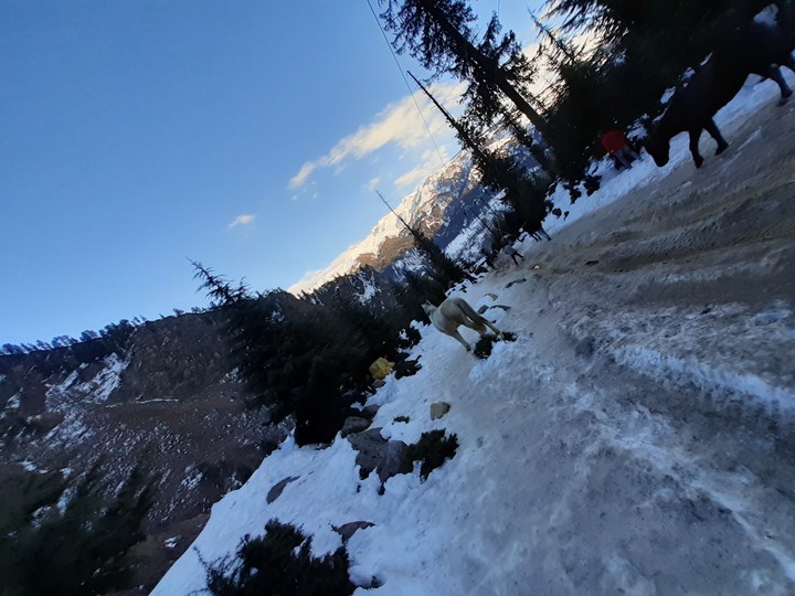 Snowy mountains