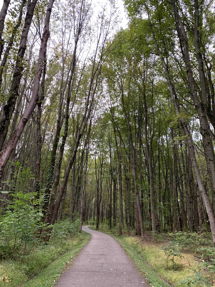 Road less traveled