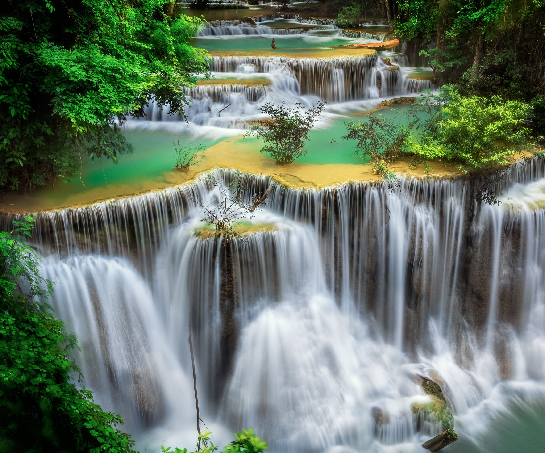 тапети nature, green