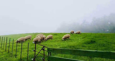fonds d'écran Field, Fence