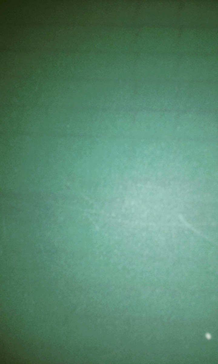 TRY TO GUESS THE PHOTO