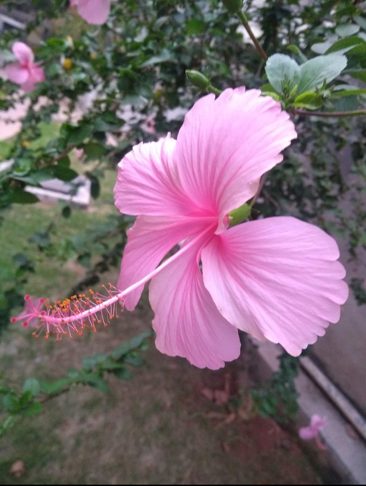 Beautiful things don't ask for attention ;)