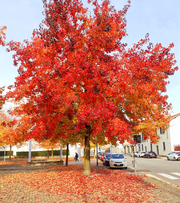 autunno