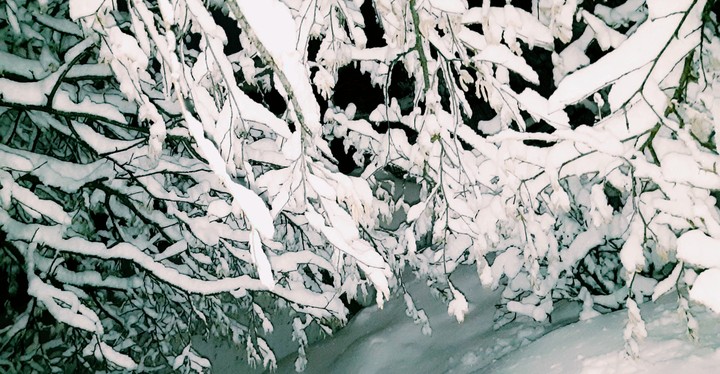 Lithuania. snow
