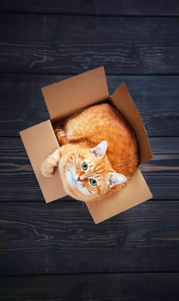 ☺